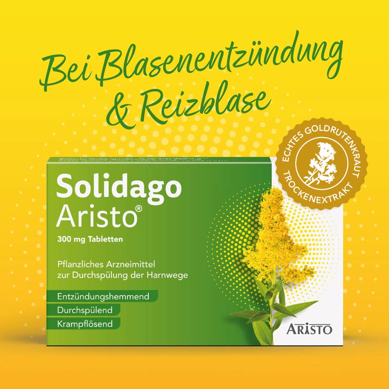 Solidago Aristo 300mg Tabletten  100 St Tabletten