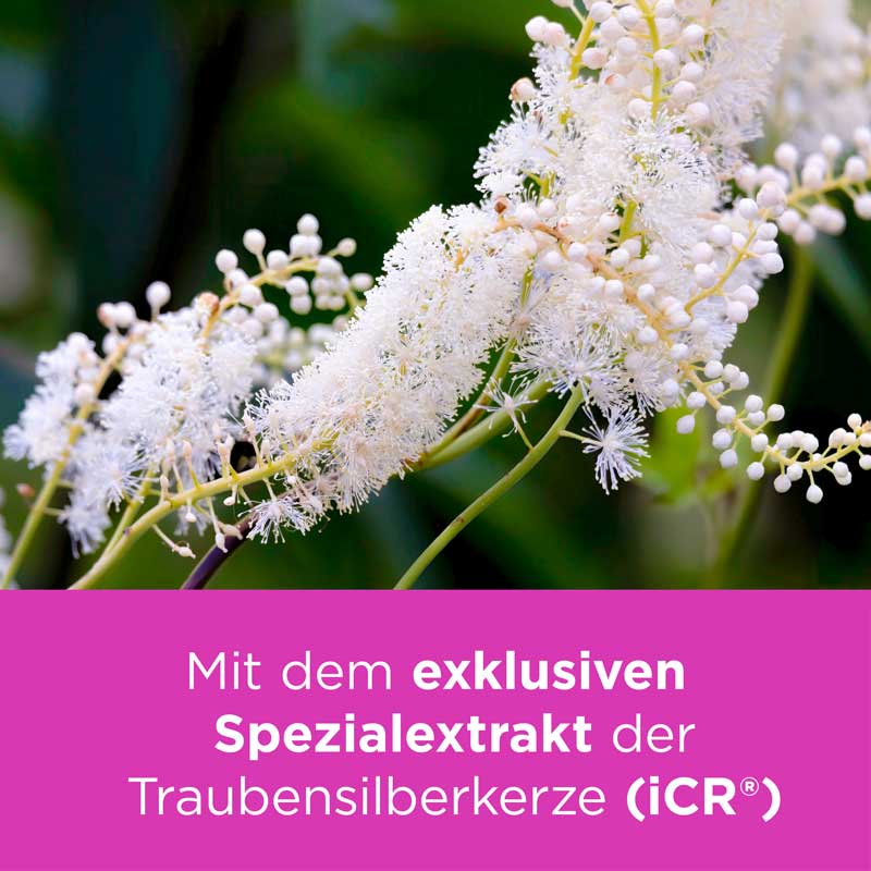 Remifemin bei Wechseljahresbeschwerden 100 St Tabletten