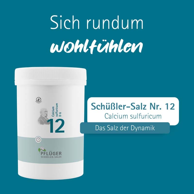 Schüßler-Salz Nr. 12 Calcium sulfuricum D6 4000 St Tabletten