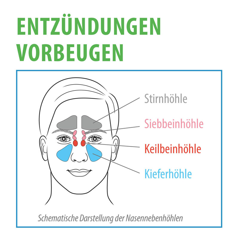 XYLIMED natürliches NASENSPRAY 45 ml Nasenspray