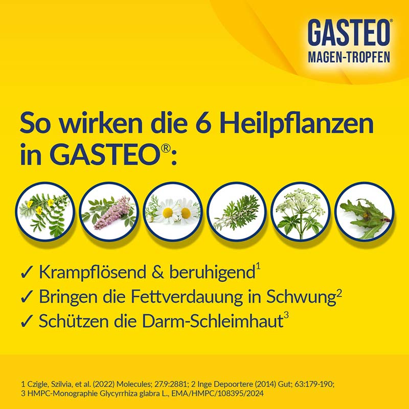 GASTEO 20 ml Flüssigkeit zum Einnehmen
