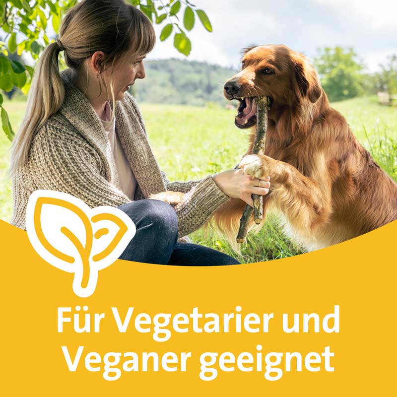 Grippostad C STICKPACK 12 St Granulat