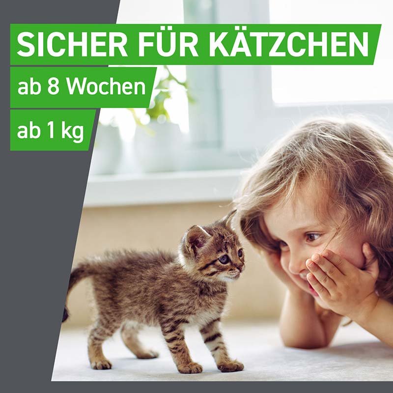 FRONTLINE COMBO KATZE 6 St. Kombischutz für Tier & Heim gegen Zecken, Flöhe & Haarlinge bei Katzen