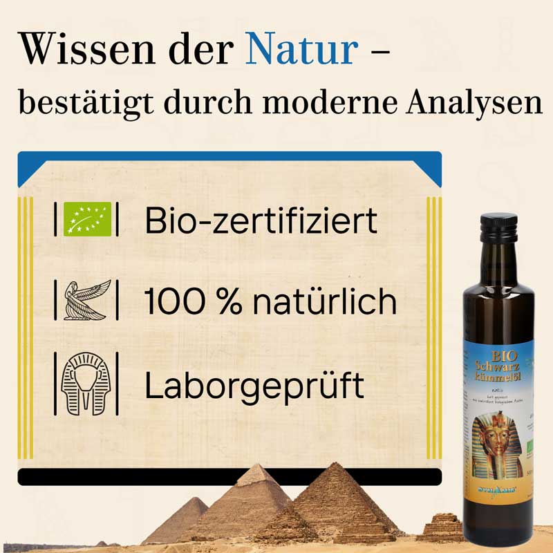 SCHWARZKÜMMEL BIO ägypt.Öl 500 ml Öl
