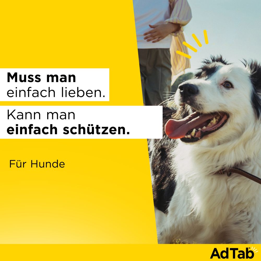 ADTAB 56MG HUND 1.3-2.5KG 3 St Kautabletten
