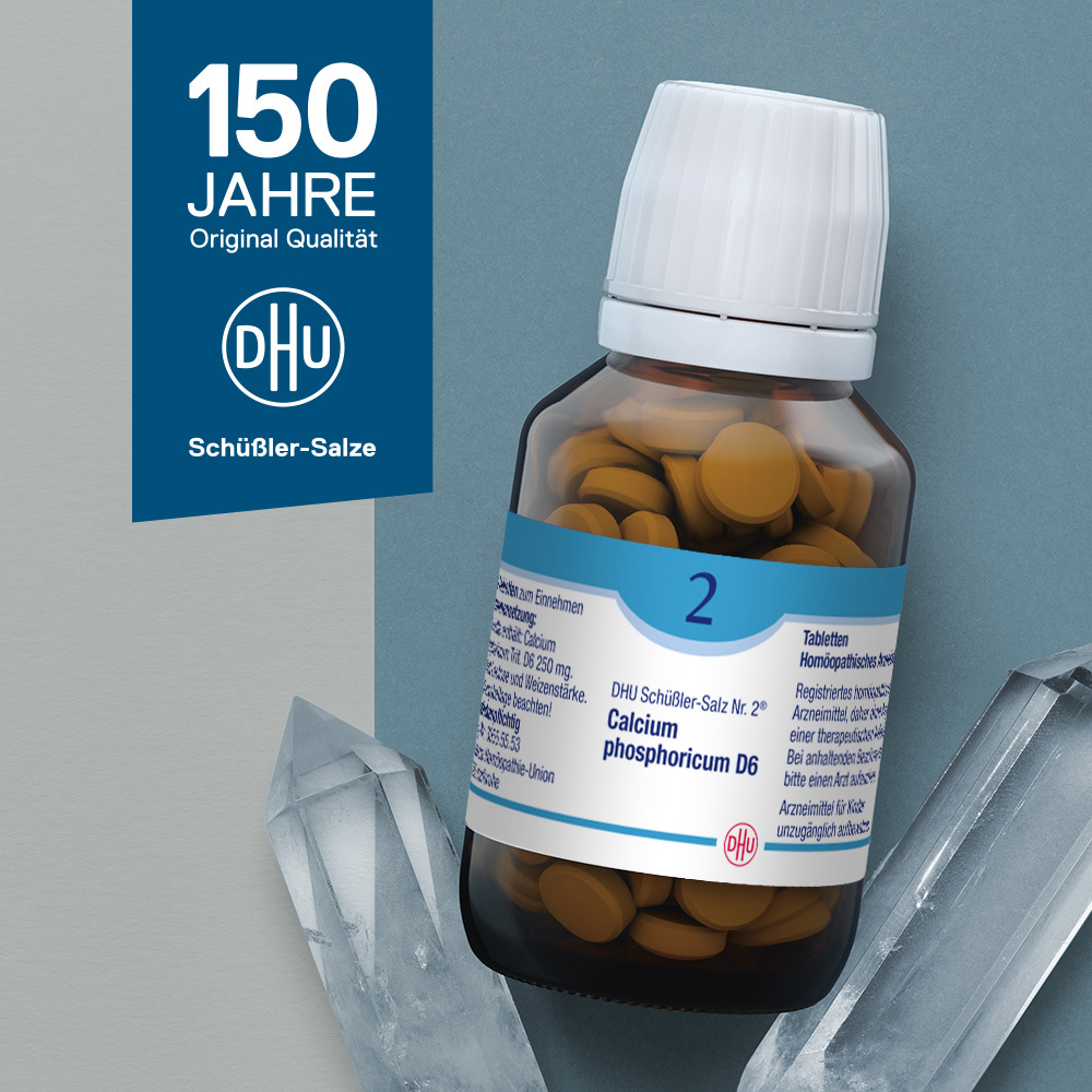 DHU Schüßler-Salz Nr. 2 Calcium phosphoricum D6 900 St Tabletten