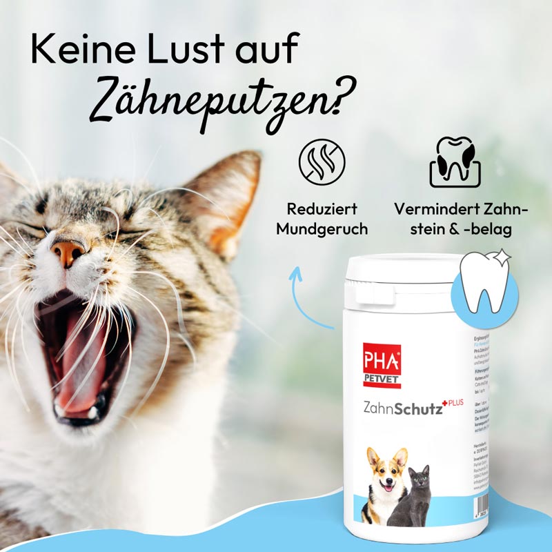 PHA ZahnSchutz PLUS Pulver für Hunde und Katzen 60 g Pulver