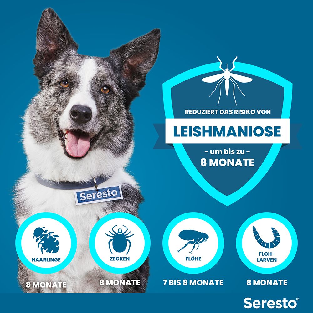 SERESTO 4.5+2.03 HUND AB 8KG 1 St Halsband