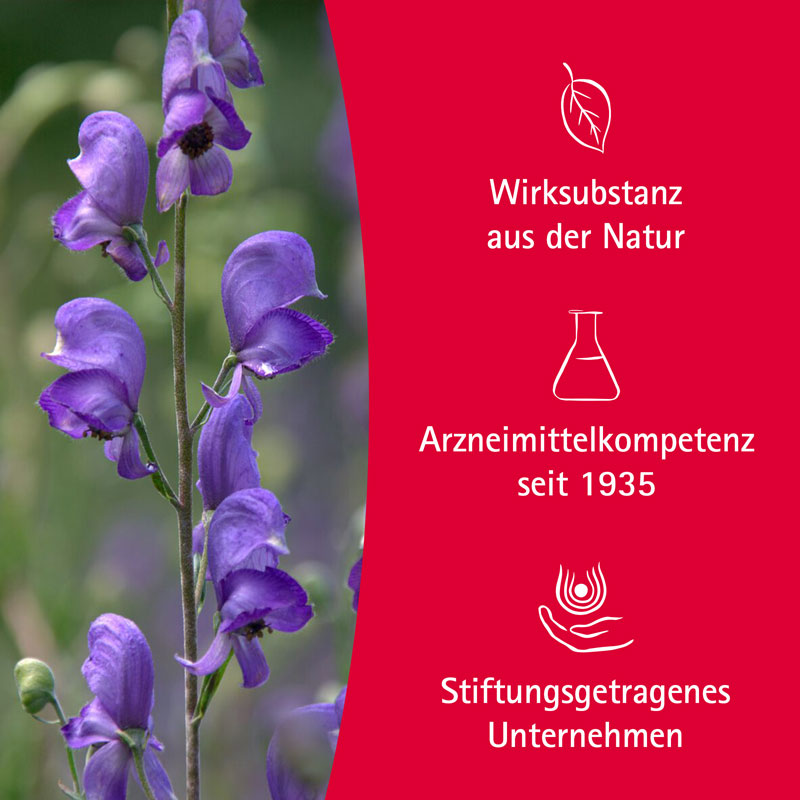 WALA Aconit Schmerzöl 50 ml Öl