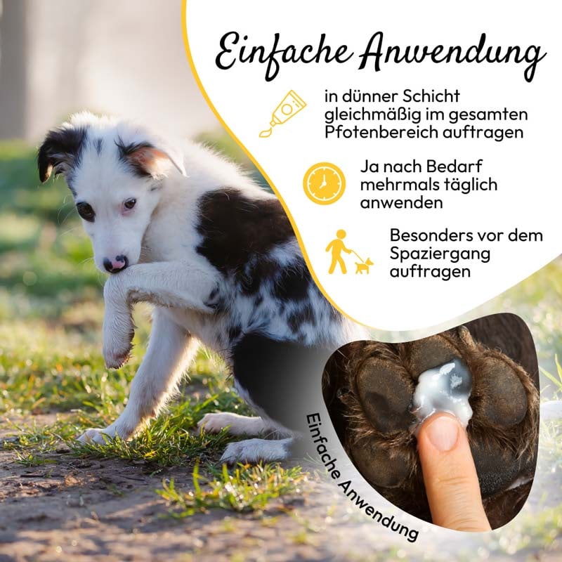 PHA PfotenSchutz Paste für Hunde und Katzen 125 g Paste