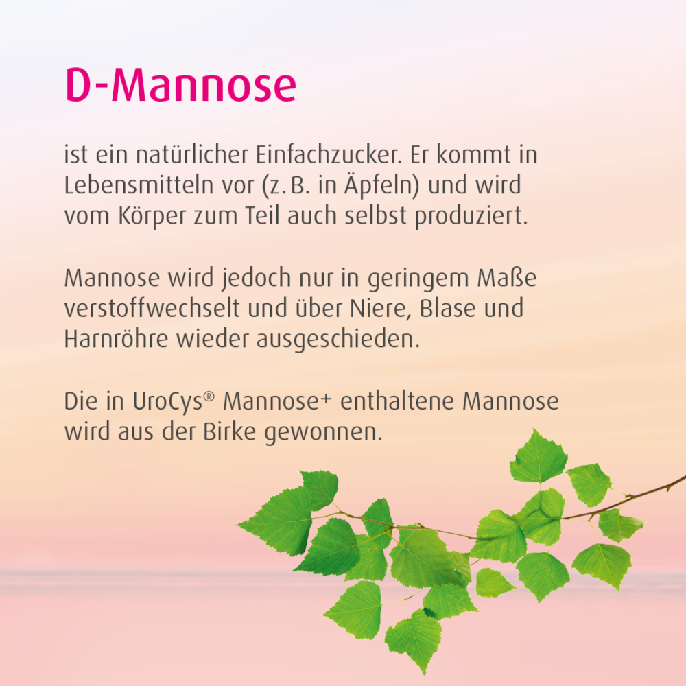 Urocys Mannose++ Sticks 15 St Beutel