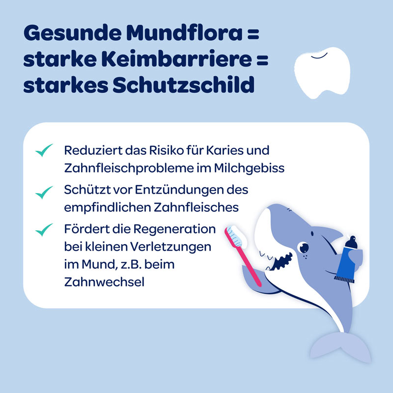 Dentinox Zahncreme Mundflora+ KIDS 75 ml Zahncreme