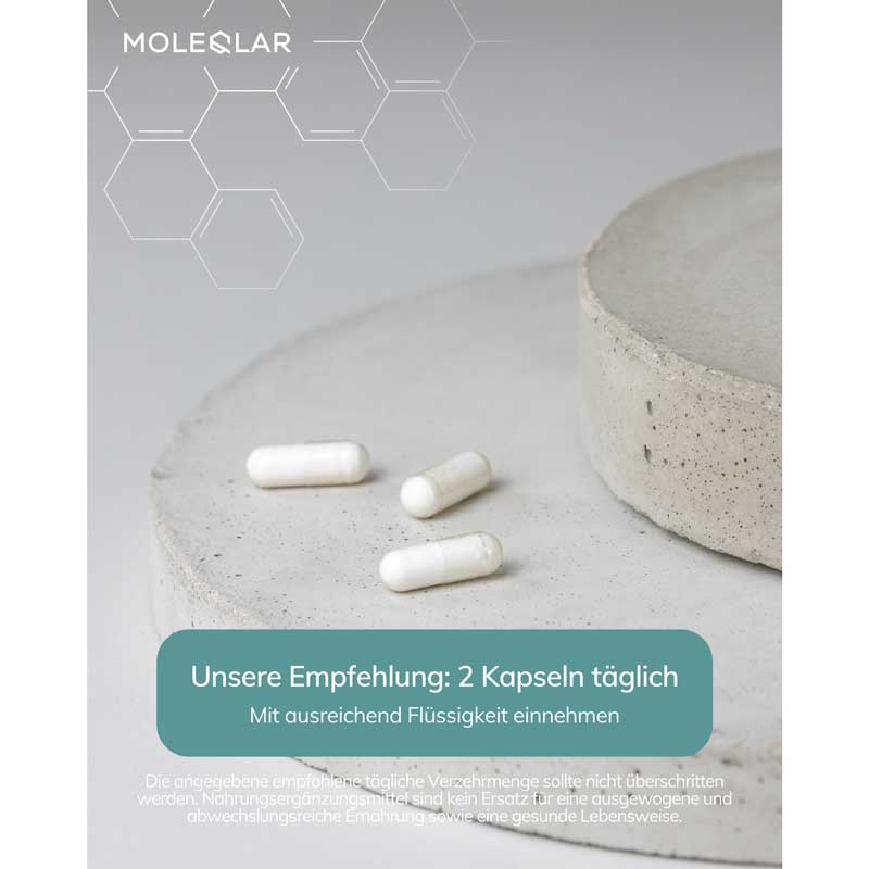 MOLEQLAR LONGEVITY CaAKG 60 St Kapseln