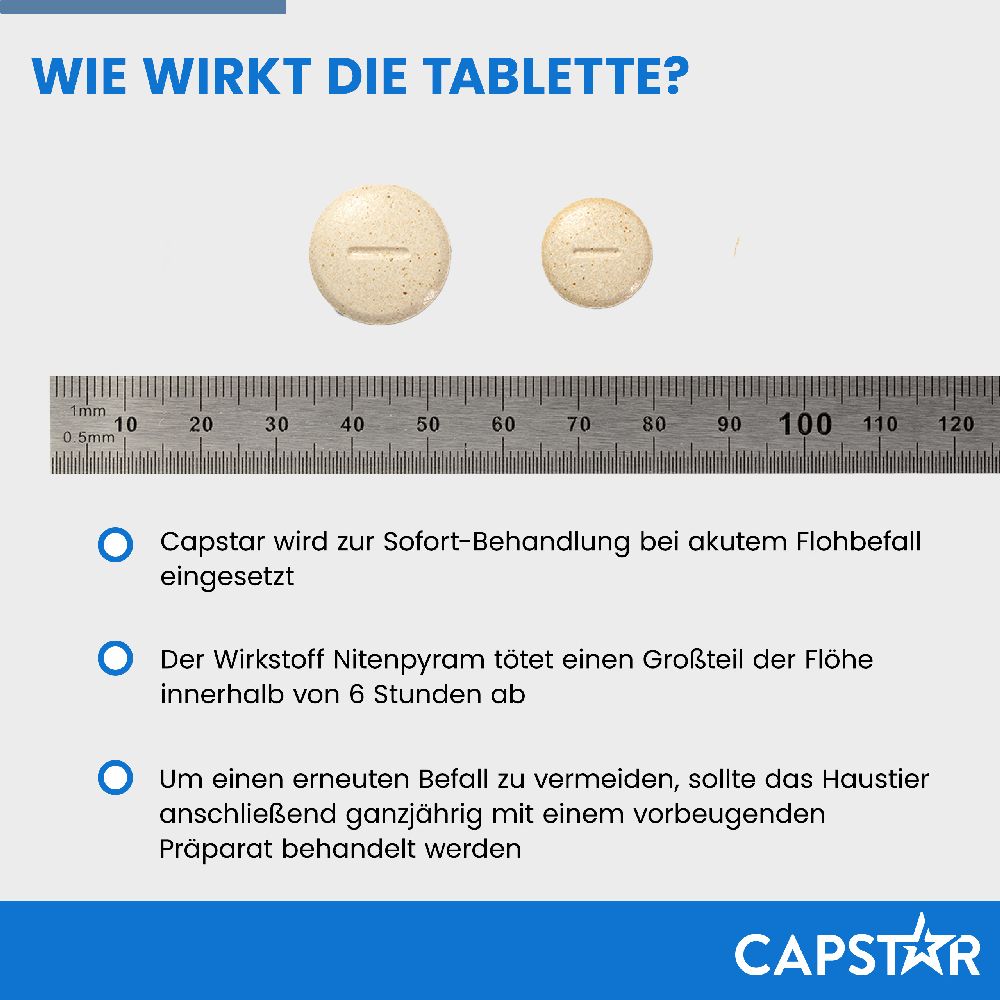 CAPSTAR KATZE + KL. HUND 6 St Tabletten