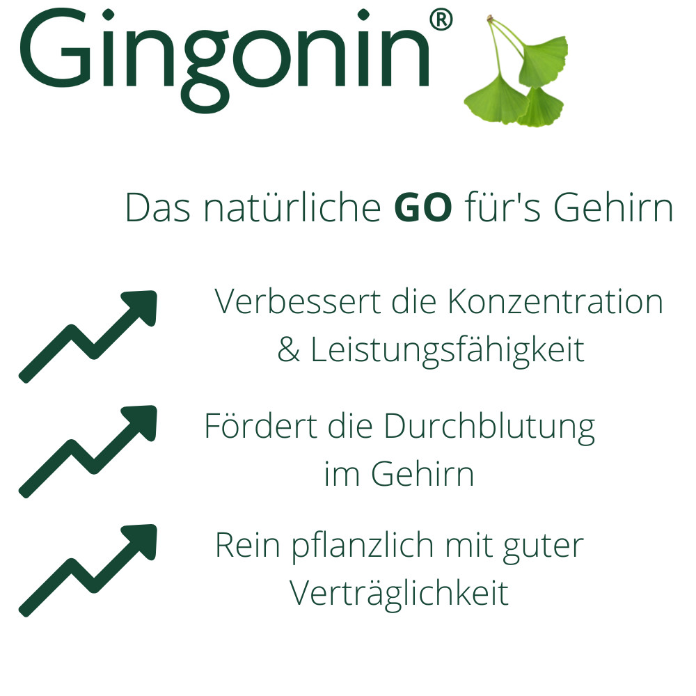 Gingonin 120mg 30 St Hartkapseln