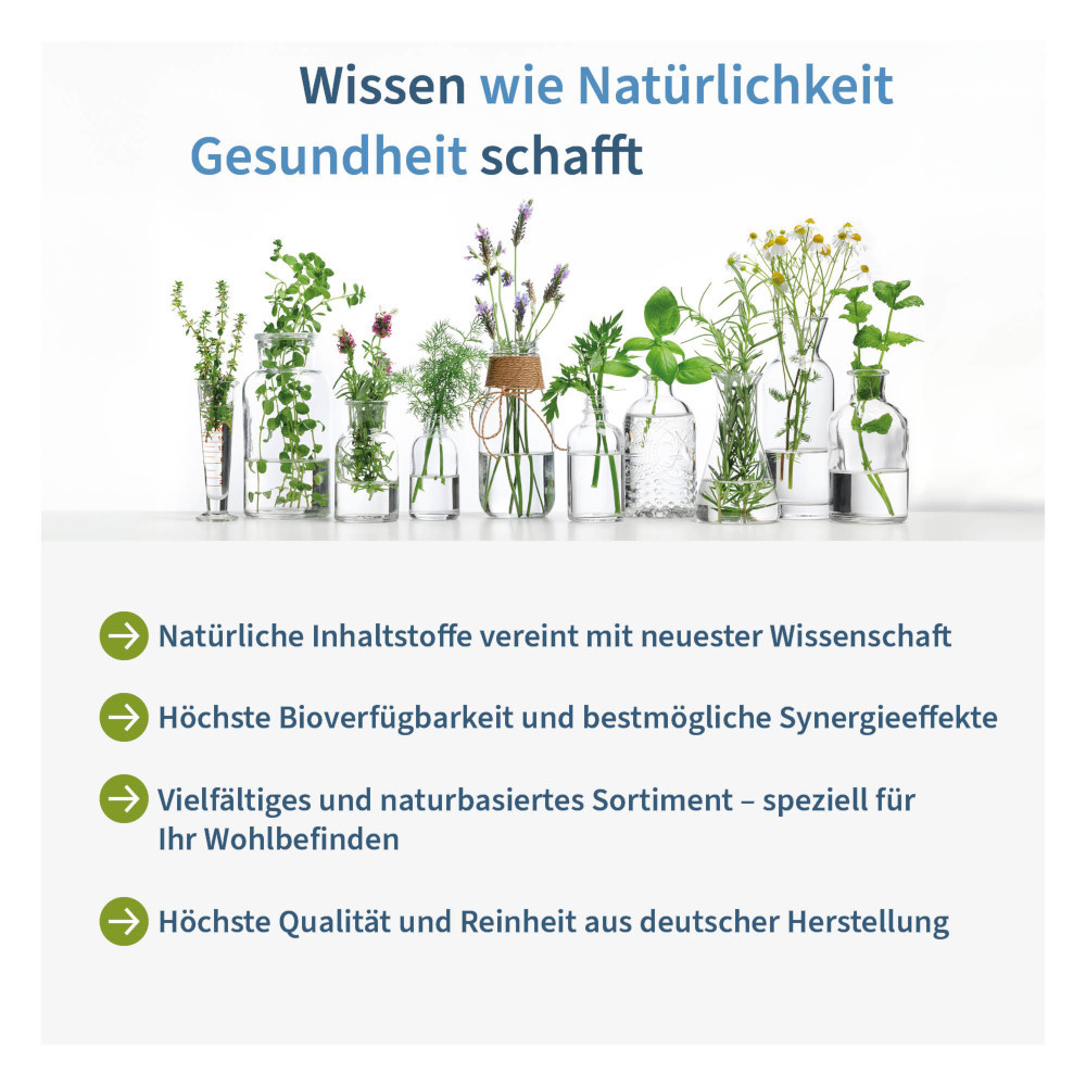 NatuGena Liposomales Eisen 60 St Kapseln