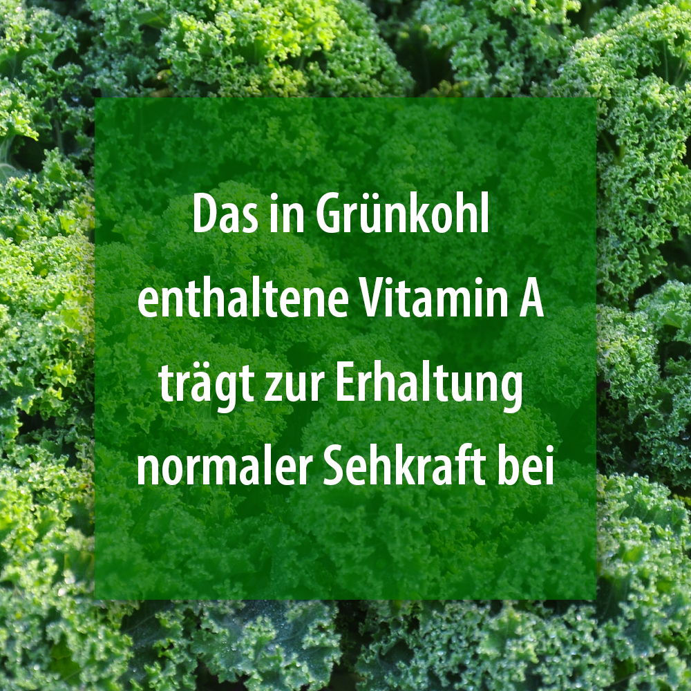 GRÜNKOHL Plus Kapseln 120 St Kapseln