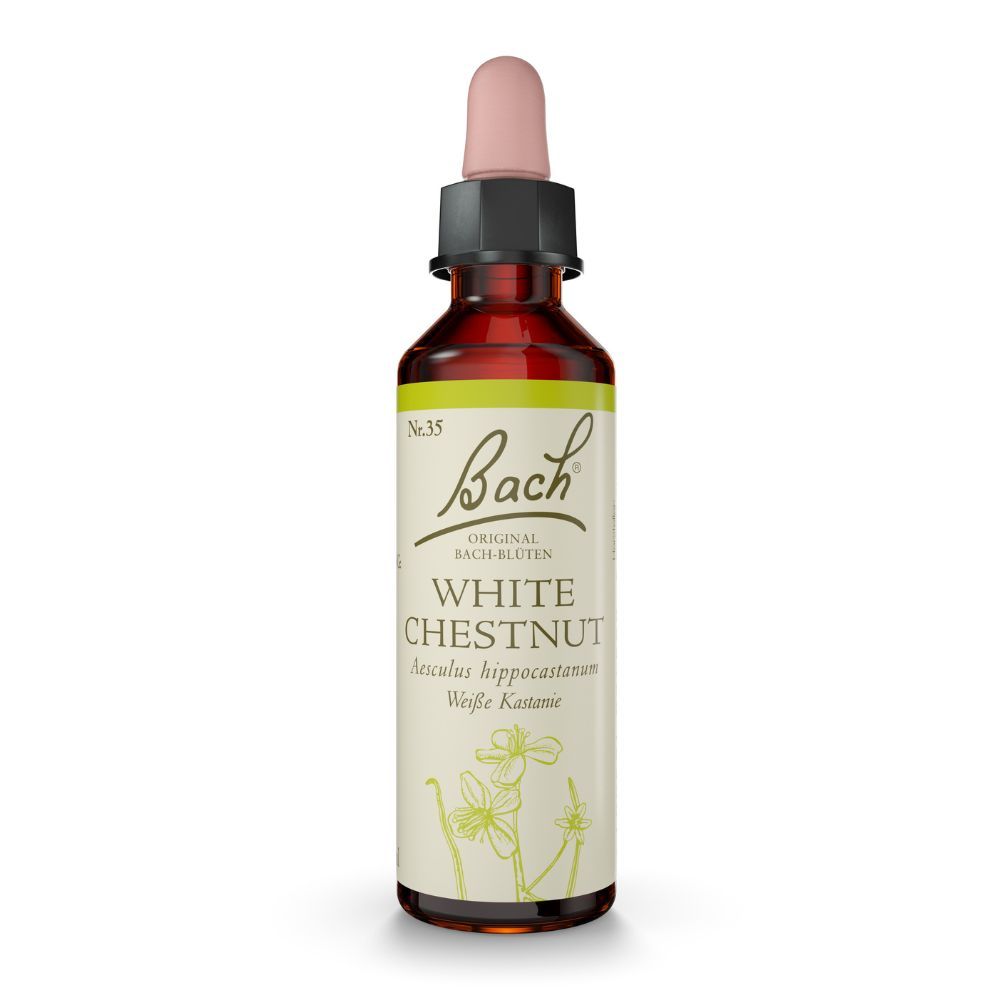 BACHBLÜTEN Original White Chestnut Nr.35 10 ml Tropfen