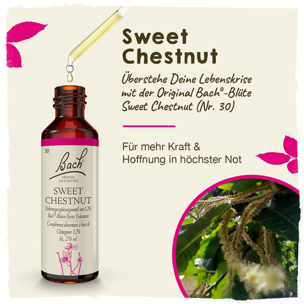 BACHBLÜTEN Original Sweet Chestnut Nr. 30 20 ml Tropfen