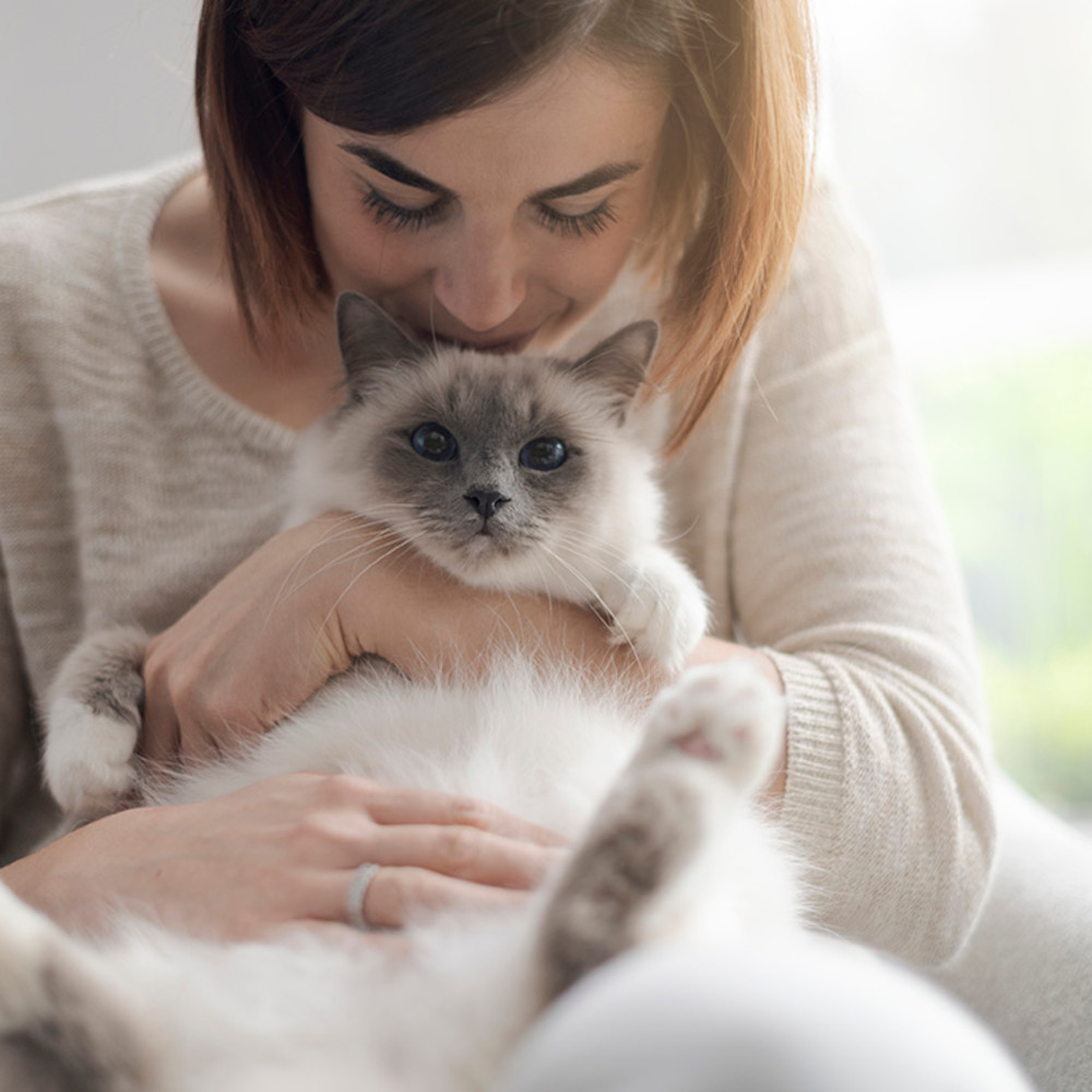 Cetirizin 10 -1 A Pharma 50 St Filmtabletten