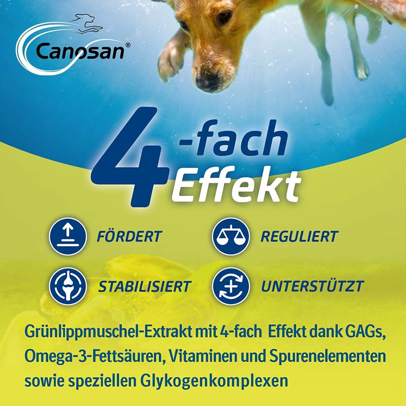 Canosan - Zur Unterstützung der Gelenke & des Bindegewebes für Hunde mit Grünlippmuschel-Extrakt Gonex 1300 g Konzentrat