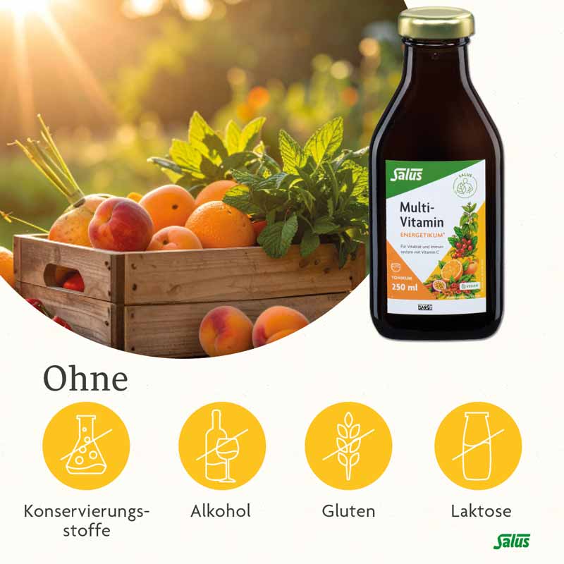 Salus Multi-Vitamin ENERGETIKUM 500 ml Tonikum