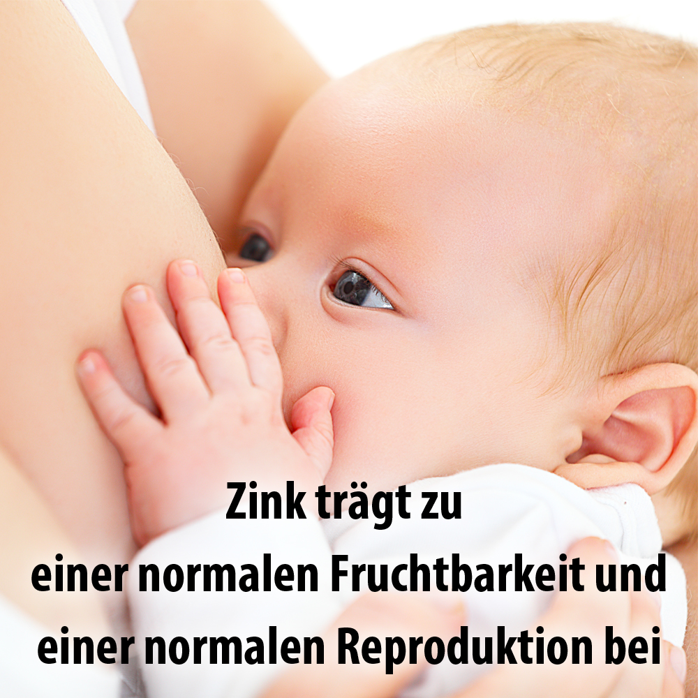 BOCKSHORNKLEE+Zink Kapseln 120 St Kapseln