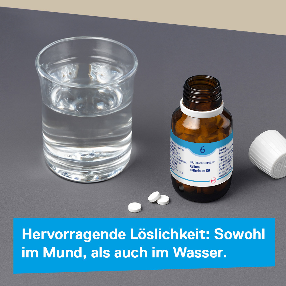 DHU Schüßler-Salz Nr. 6 Kalium sulfuricum D6 420 St Tabletten
