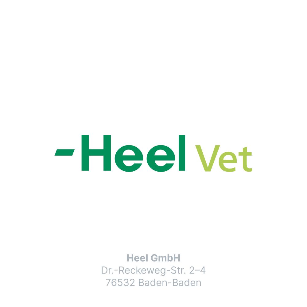 Traumeel LT ad us. vet. 250 St Tabletten