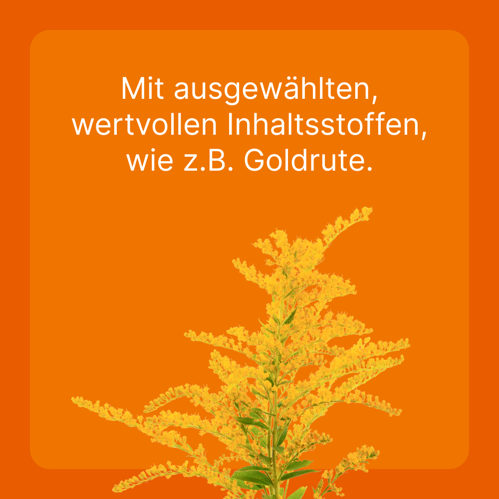 Heel Vet SUC-Bundle 1 Sparset