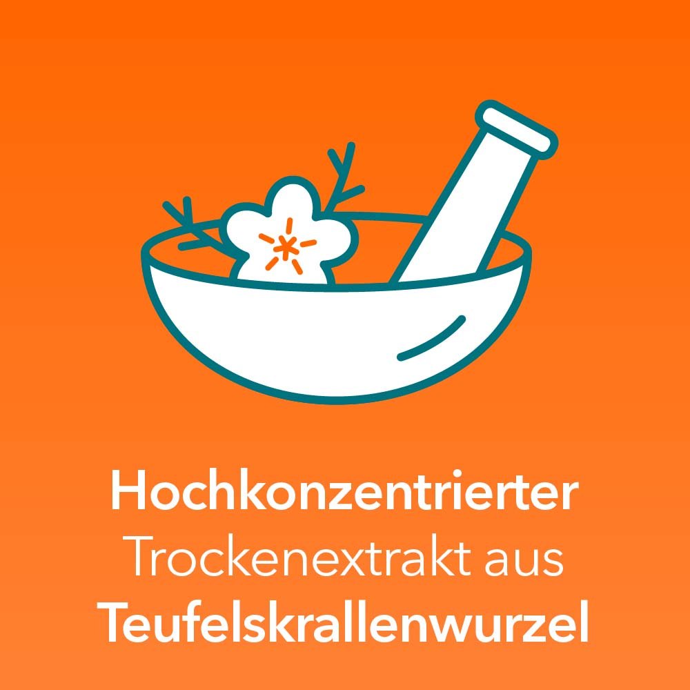 Teufelskralle-ratiopharm 480 mg 50 St Filmtabletten