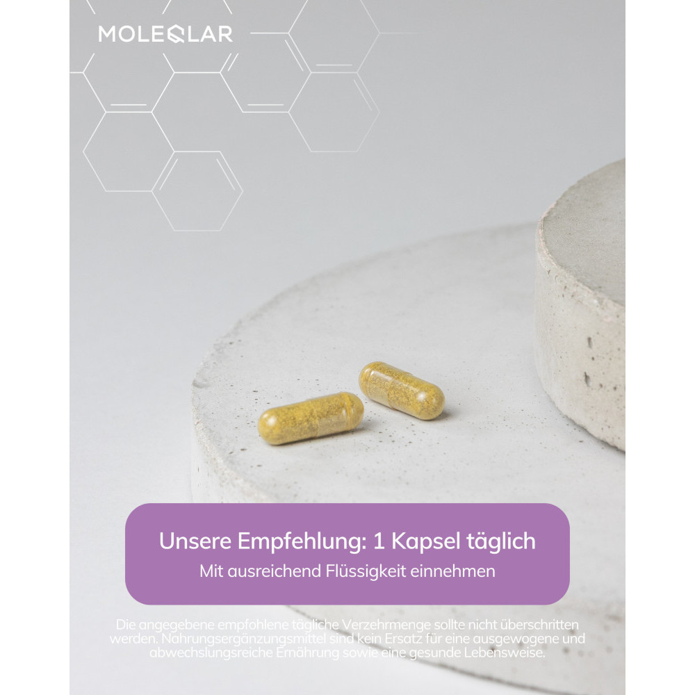 MOLEQLAR BERBERSOME BERBERINE-MINERAL-COMPLEX 60 St Kapseln