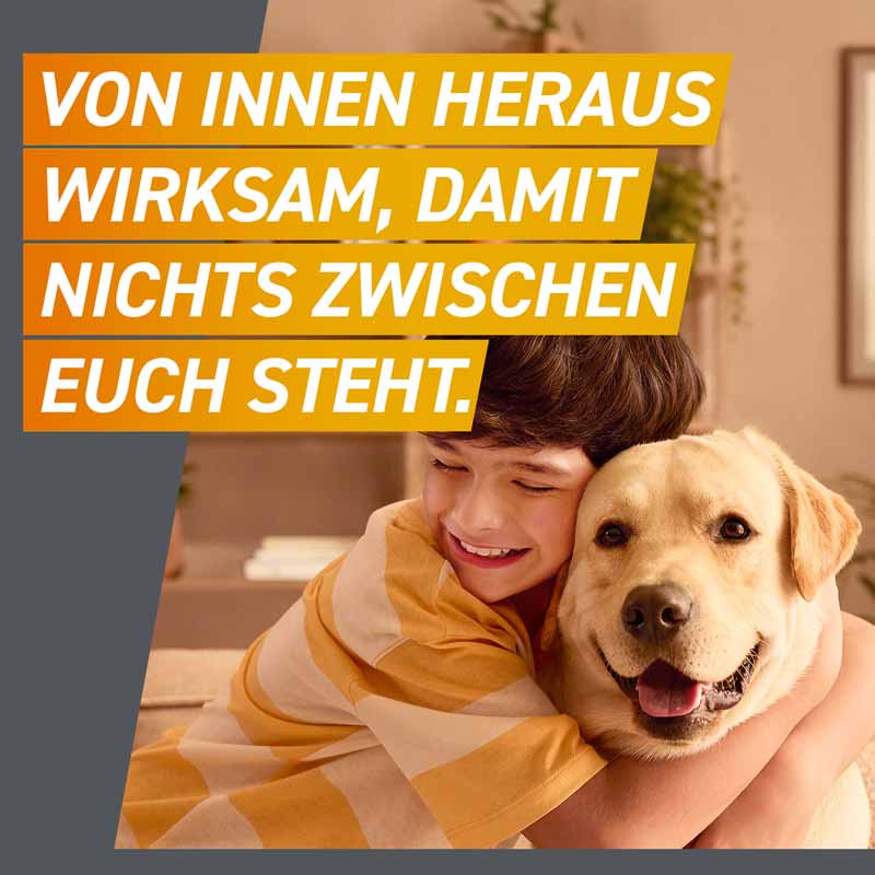FRONTPRO Kautablette 3 Stk. gegen Zecken und Flöhe für Hunde (>4-10kg) 3 St Kautabletten