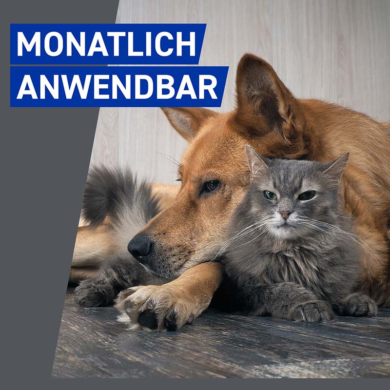 FRONTLINE - gegen Zecken und Flöhe für Hunde und Katzen 250 ml Spray