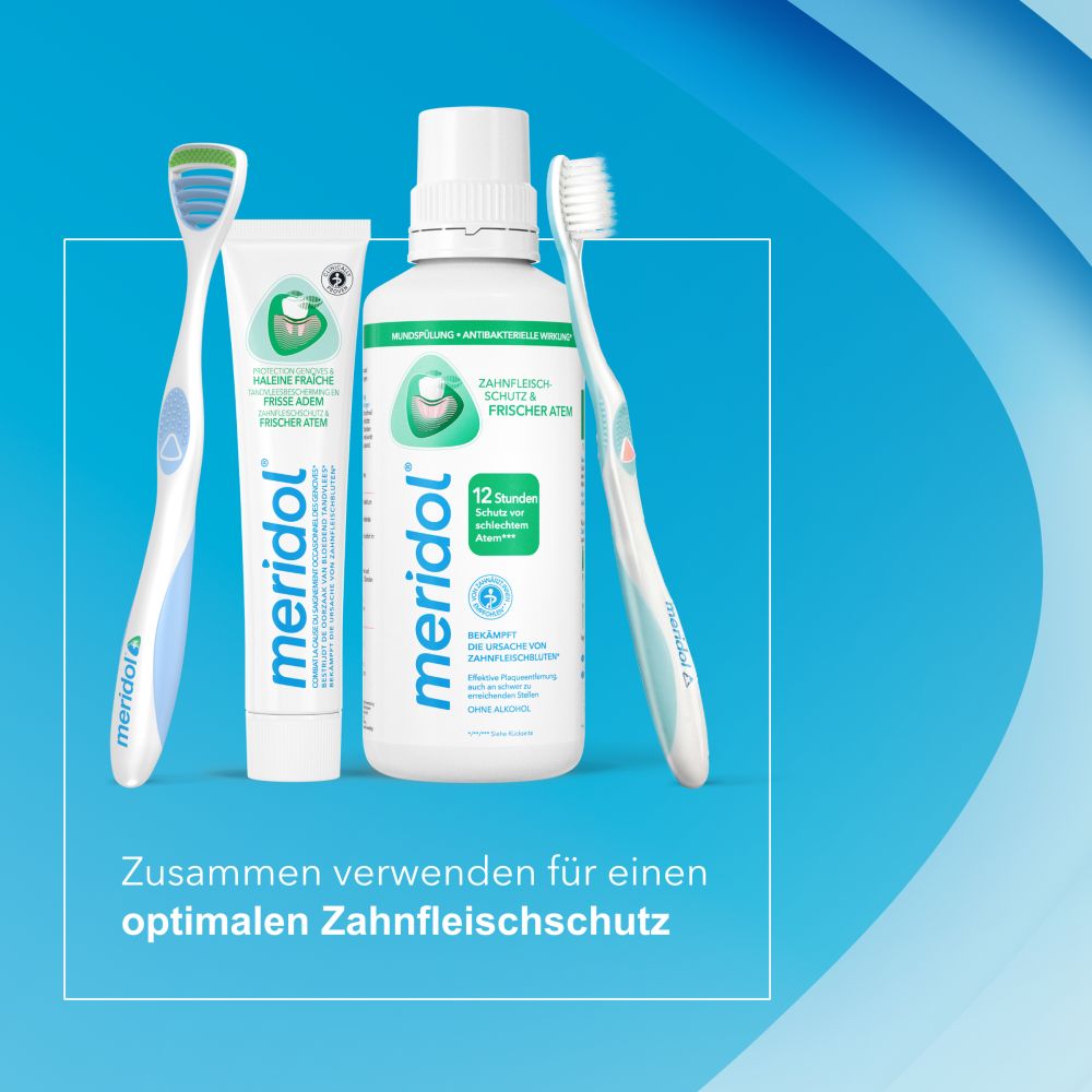 meridol MUNDSPÜLUNG ZAHNFLEISCHSCHUTZ & FRISCHER ATEM 400 ml Lösung