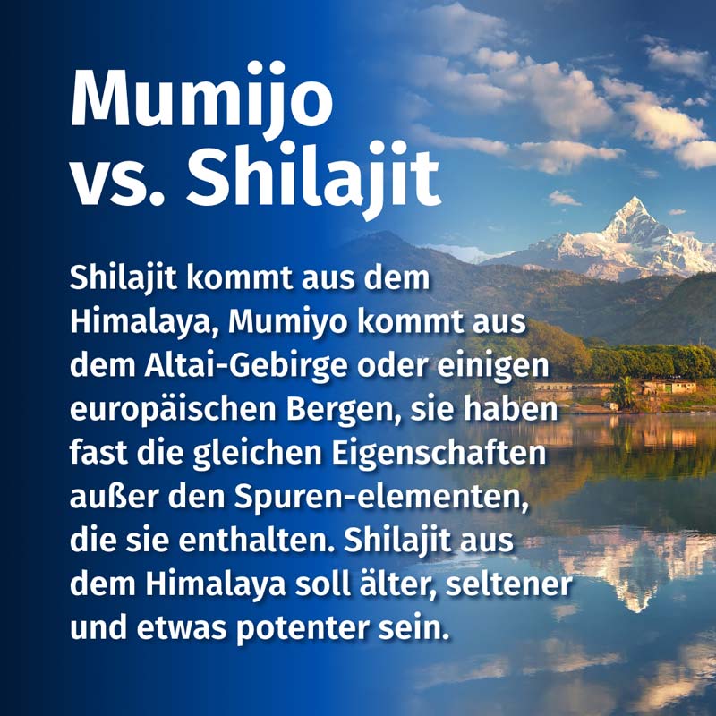 GREEN NATURALS SHILAJIT 180 St Kapseln