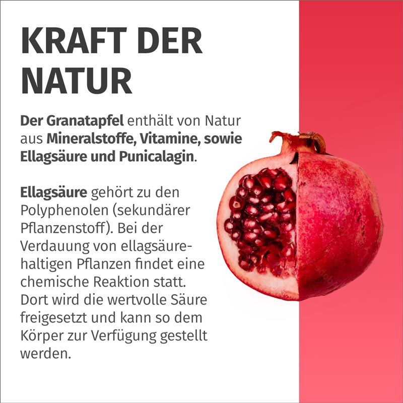 GREEN NATURALS GRANATAPFEL + 40% Ellagsäure 180 St Kapseln