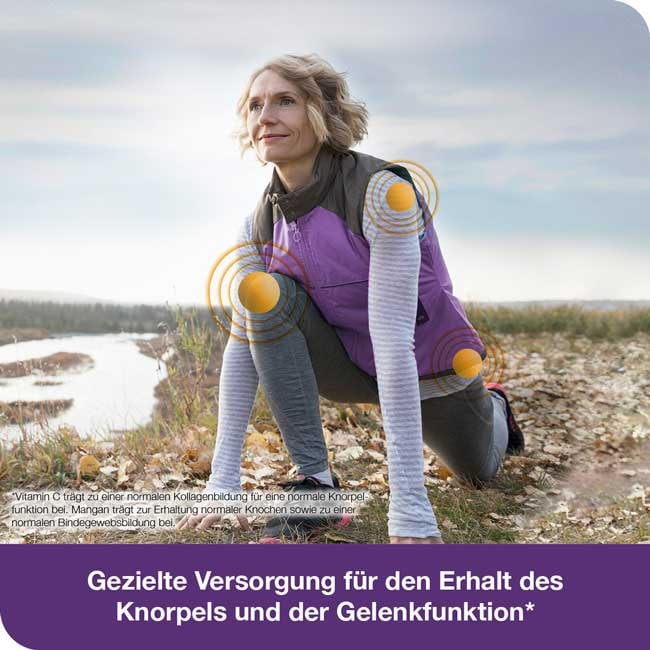 flexiLoges Knorpel aktiv 240 St Kapseln