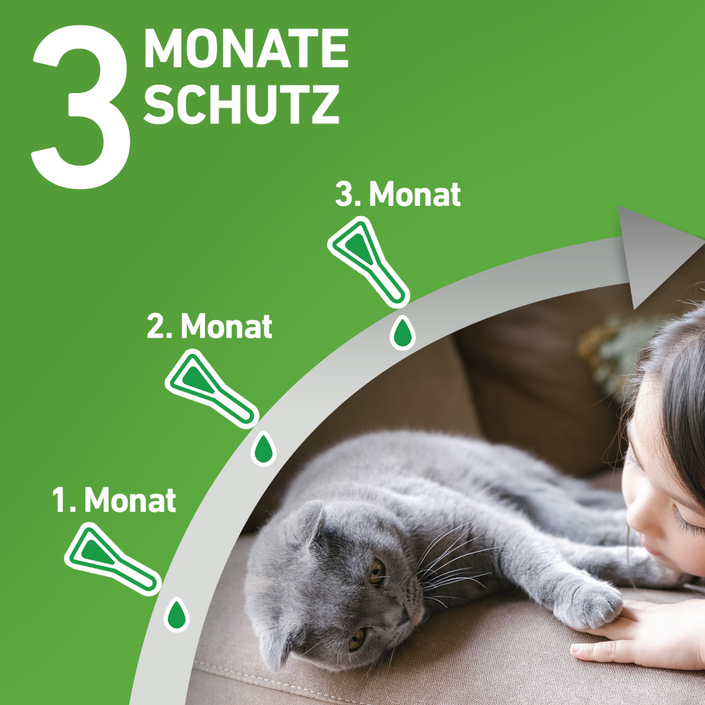 FRONTLINE COMBO 3 Stk. der Kombischutz für Tier und Heim gegen Zecken, Flöhe und Haarlinge bei Katzen und Frettchen 3 St Lösung