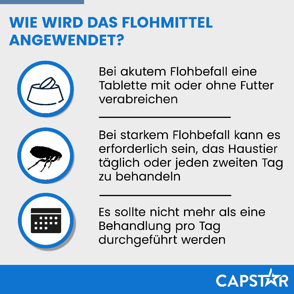 CAPSTAR KATZE + KL. HUND 6 St Tabletten