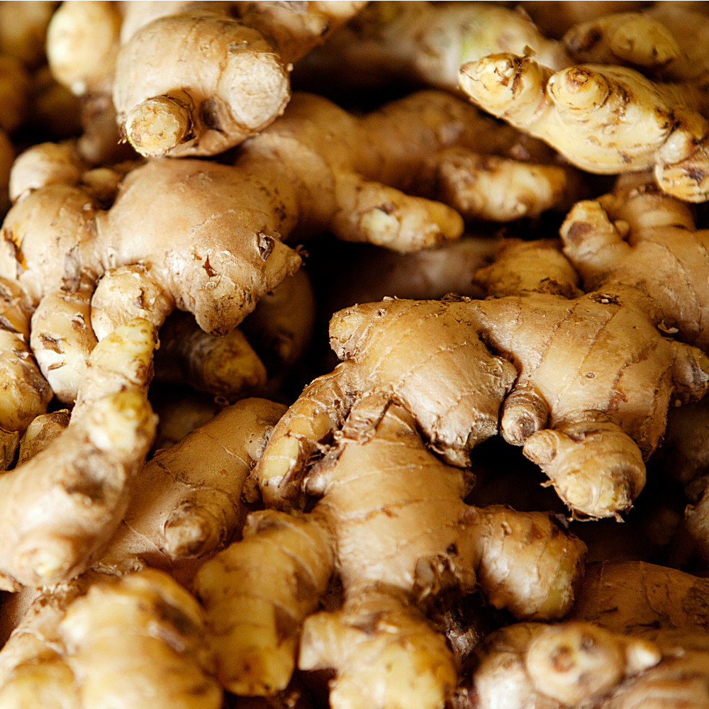 Weleda Feste Duschpflege Ingwer + Petitgrain 75 g