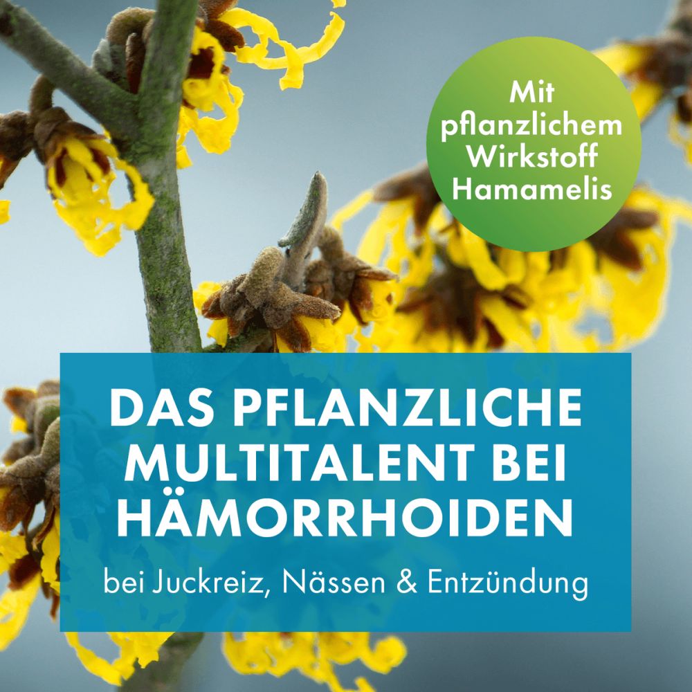 FAKTU lind Hämorrhoidenzäpfchen 10 St Suppositorien