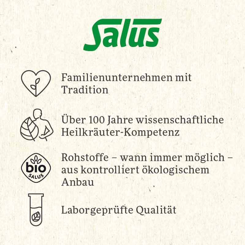 Salus Wintertee Schneekönigin 15 St Filterbeutel