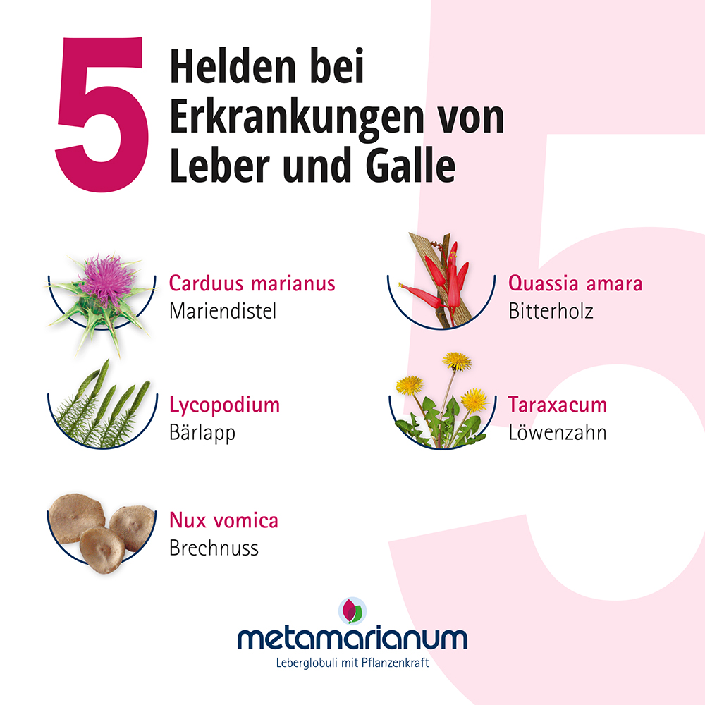 metamarianum Leberglobuli 10 g Globuli