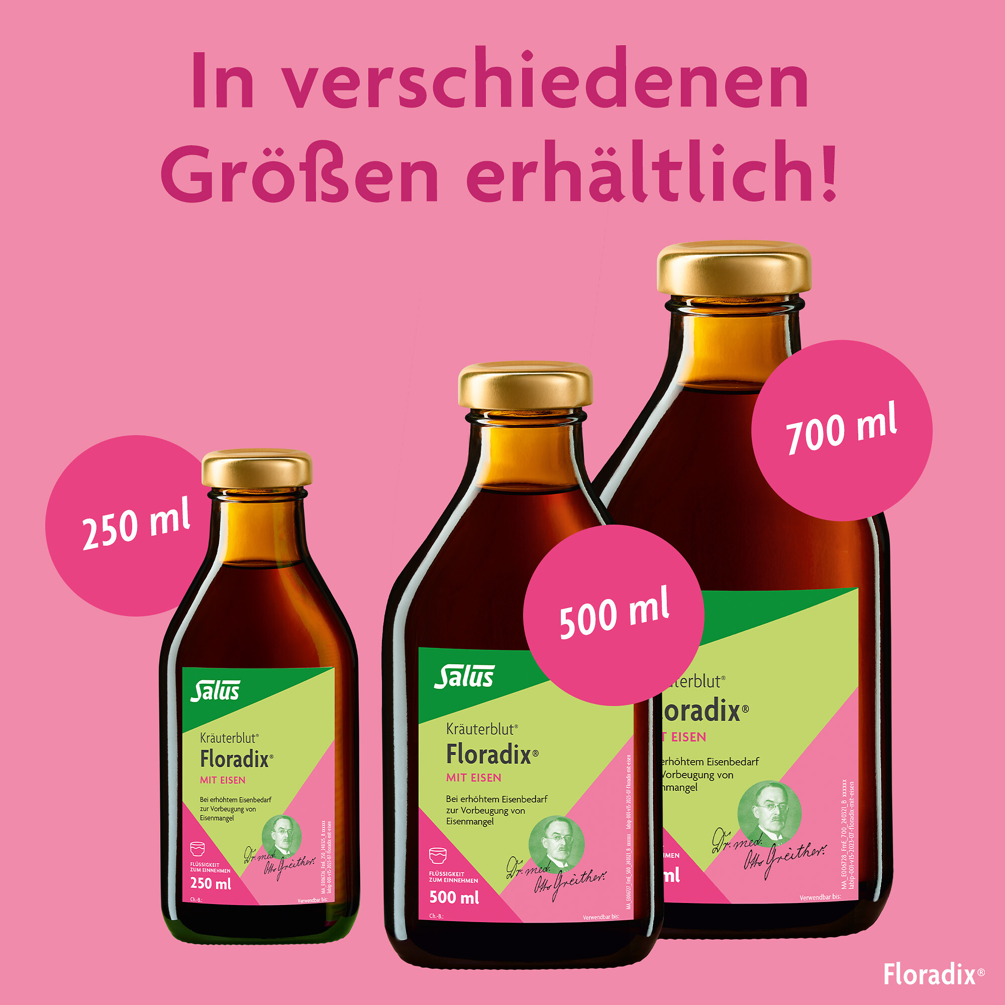 Kräuterblut Floradix MIT EISEN Salus 500 ml Lösung zum Einnehmen