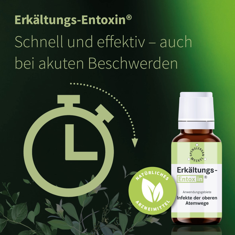 ERKÄLTUNGS ENTOXIN Tropfen 100 ml Tropfen