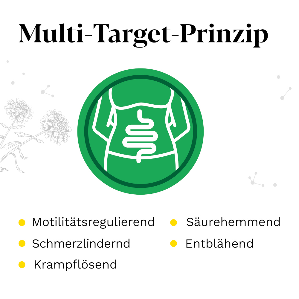 Iberogast Classic 20 ml Flüssigkeit zum Einnehmen