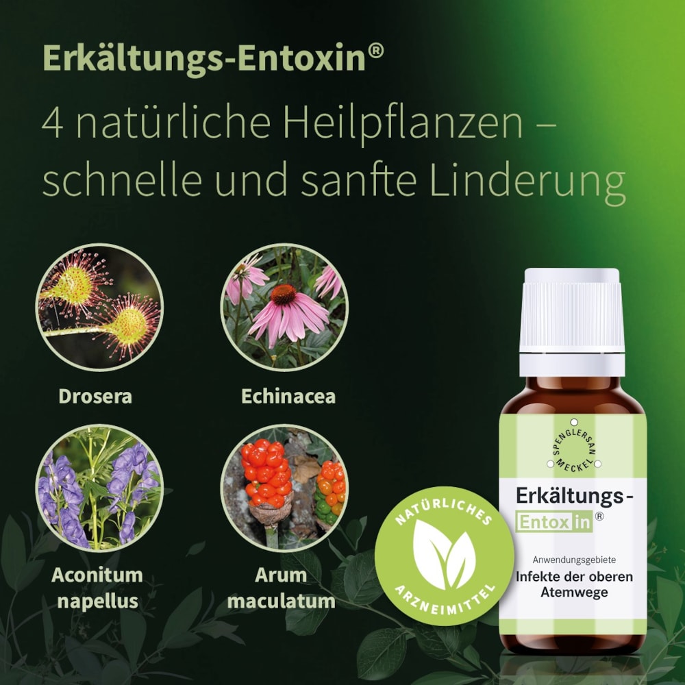 ERKÄLTUNGS ENTOXIN Tropfen 50 ml Tropfen