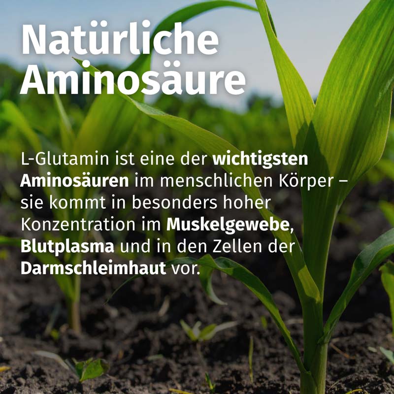 GREEN NATURALS L-GLUTAMIN 180 St Kapseln