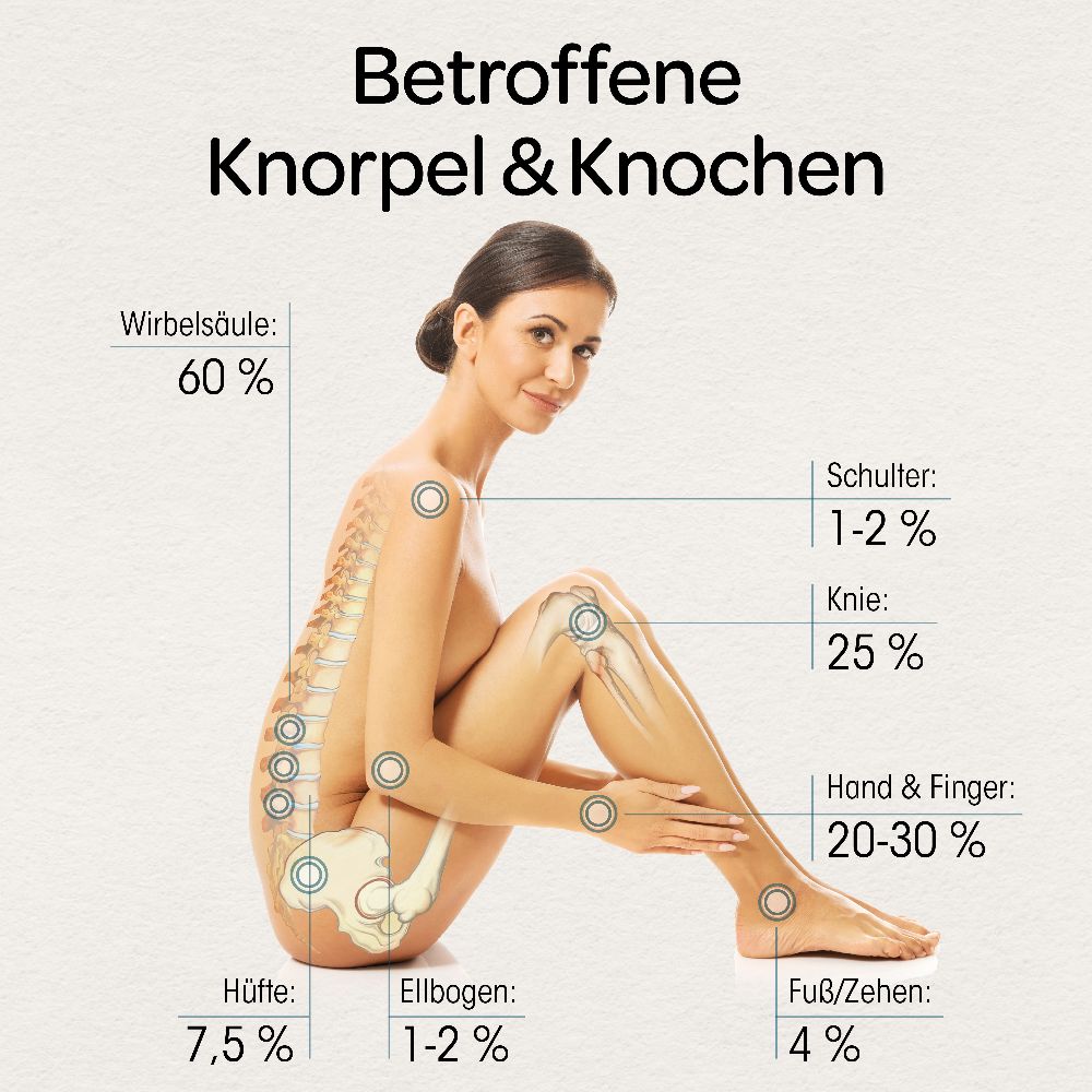 Dr. Böhm Knorpel & Knochen 120 St Tabletten